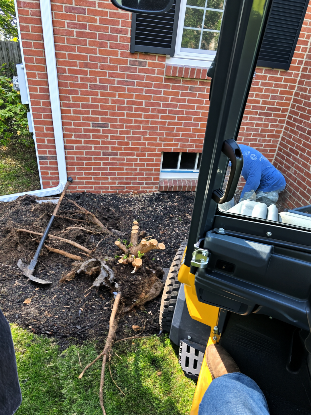Compact loader removing a shrub stump beside a brick home during a shrub removal project